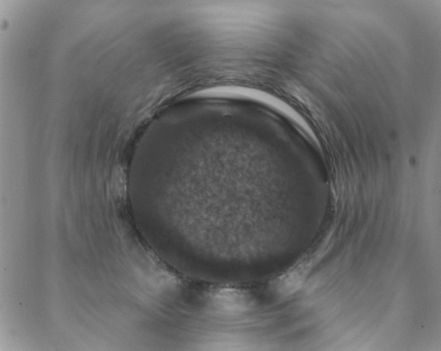 X0000089700467200706211322