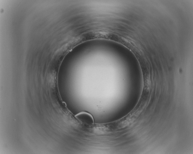 X0000089700468200706211322