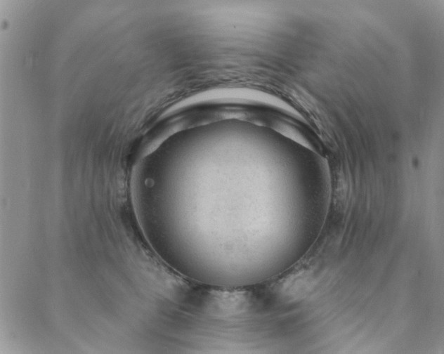 X0000089700469200706211322