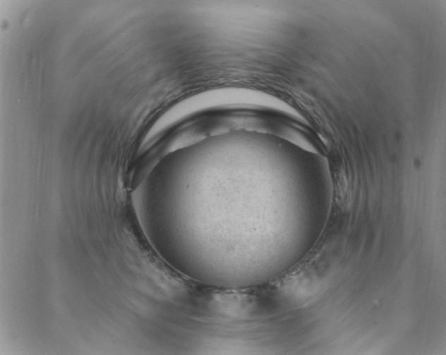 X0000089700470200706211322