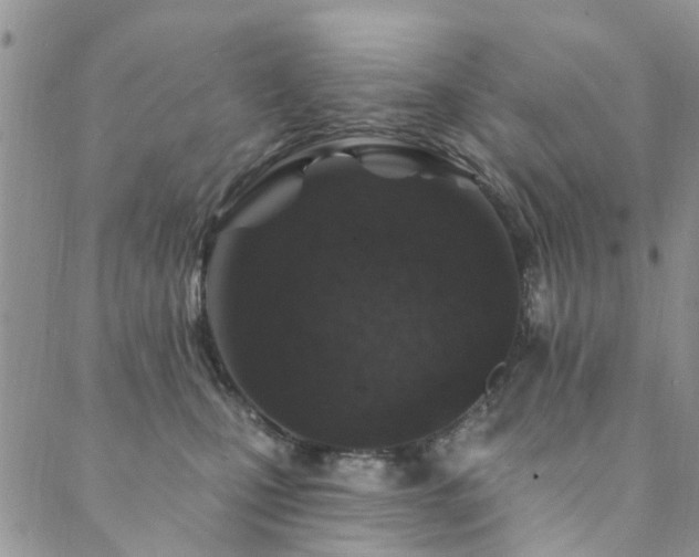 X0000089700471200706211322