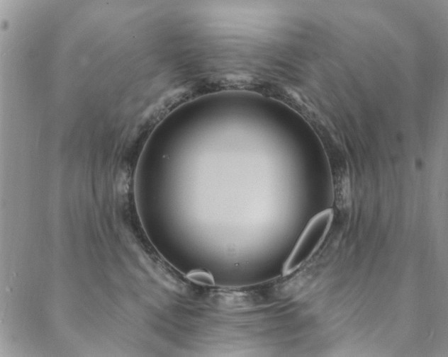 X0000089700472200706211323