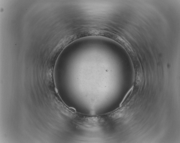 X0000089700473200706211323