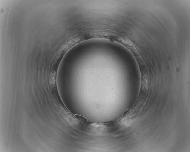 X0000089700477200706211323