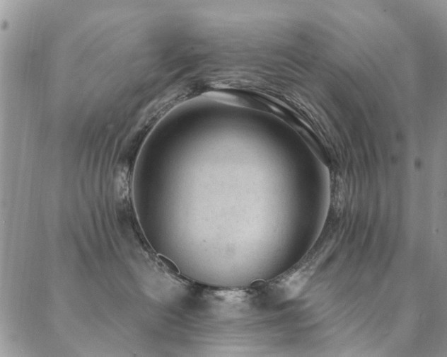 X0000089700478200706211323