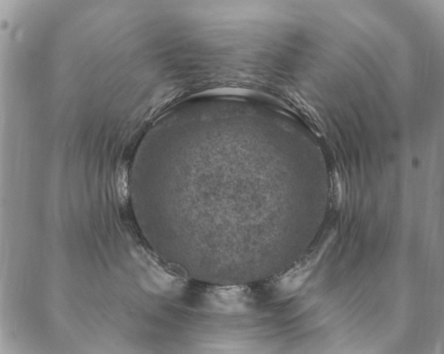 X0000089700479200706211323