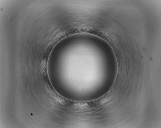 X0000089700480200706211323