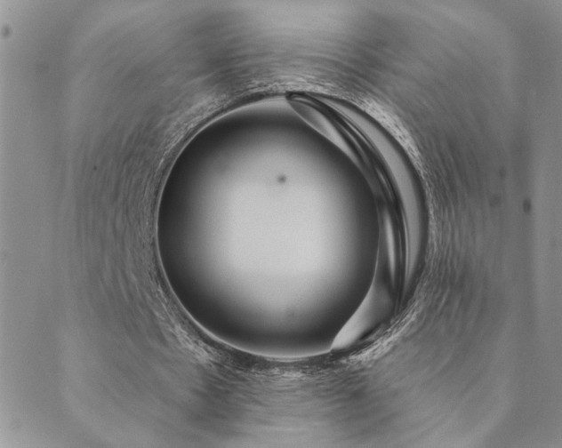 X0000089700481200706211322