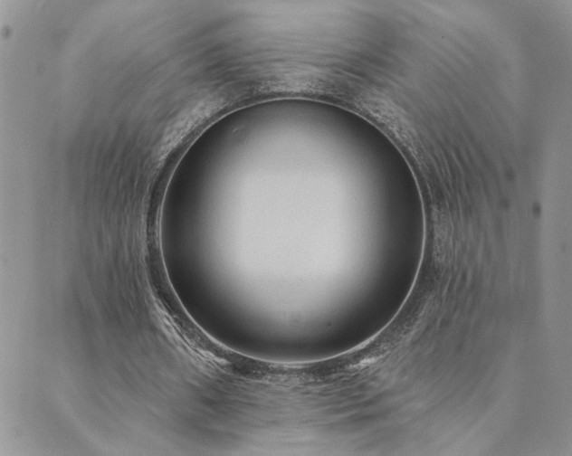 X0000089700482200706211322