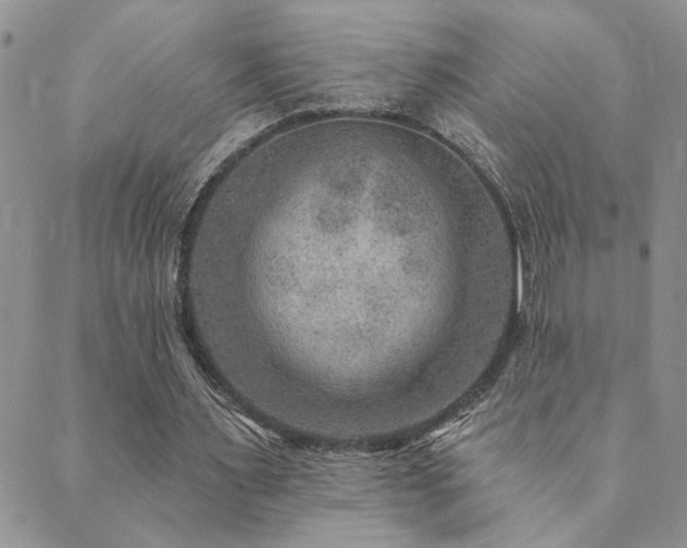 X0000089700483200706211322