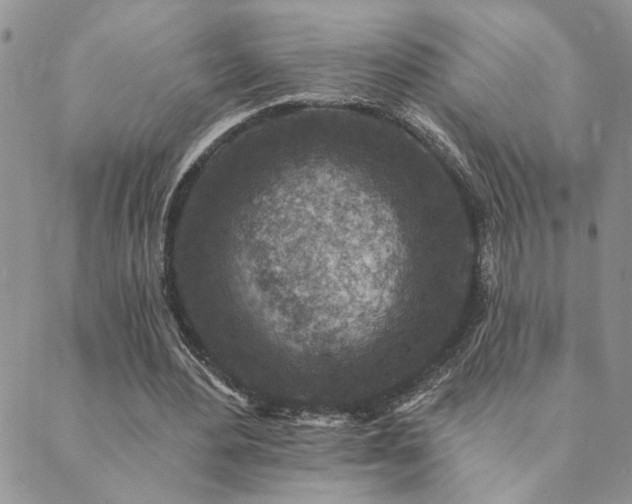 X0000089700484200706211322