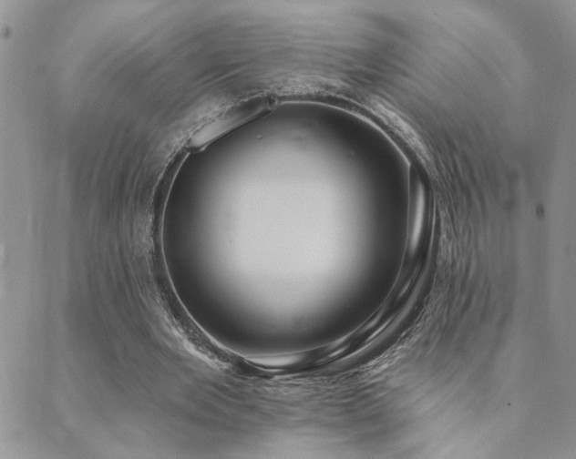 X0000089700485200706211322