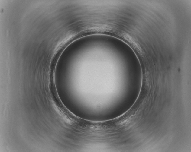 X0000089700486200706211322