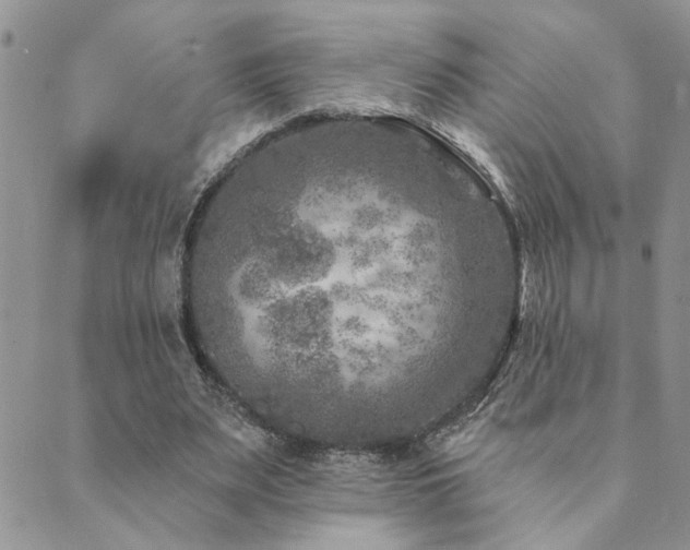 X0000089700487200706211322