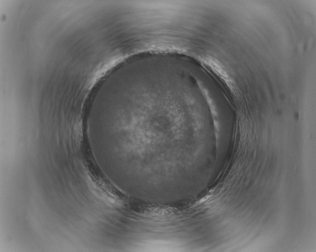 X0000089700488200706211322