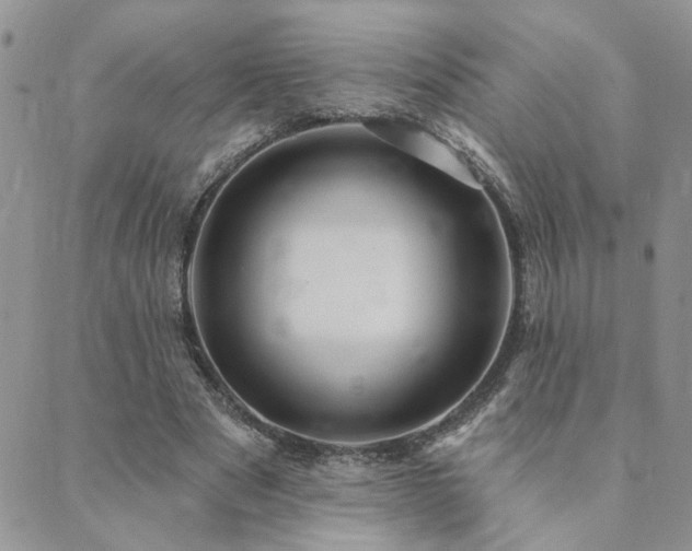 X0000089700489200706211322