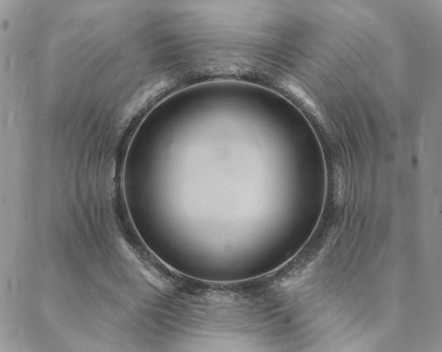 X0000089700490200706211322