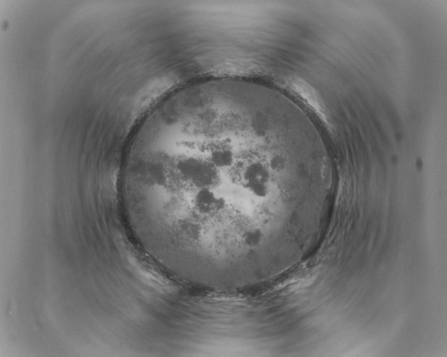 X0000089700491200706211322