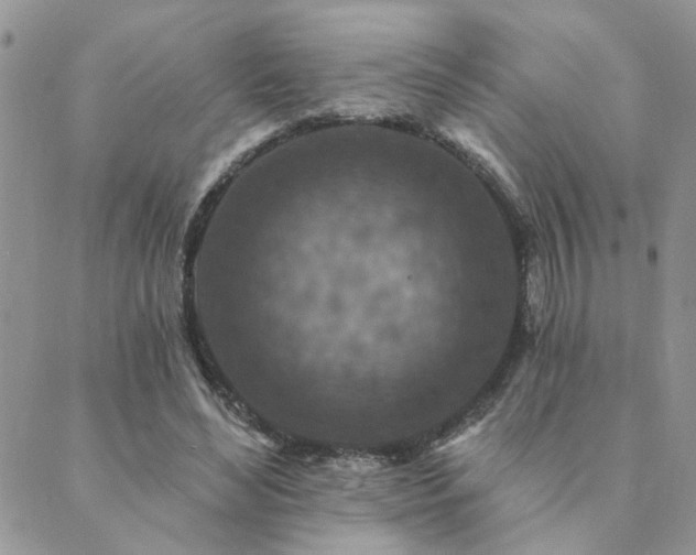 X0000089700492200706211322