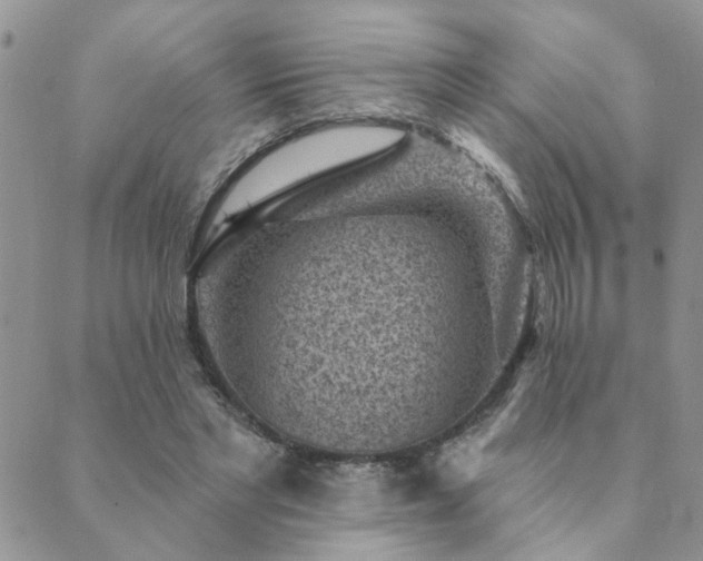 X0000089700493200706211322