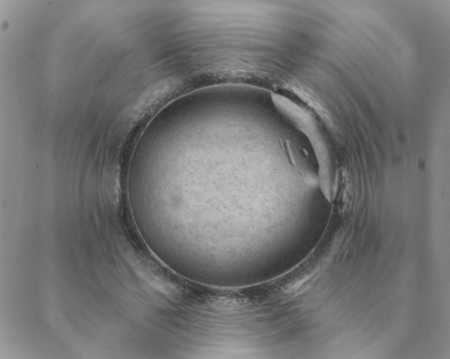 X0000089700494200706211322