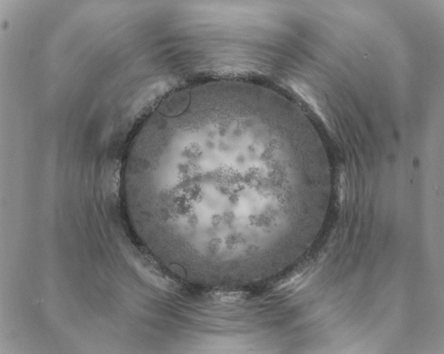 X0000089700495200706211322