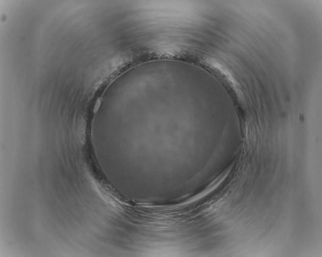 X0000089700496200706211322