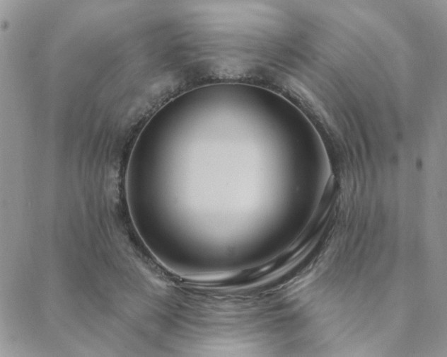 X0000089700497200706211322