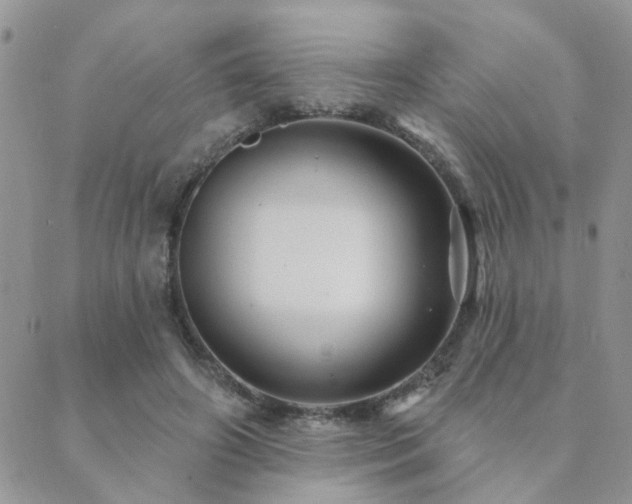 X0000089700498200706211322