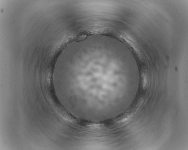 X0000089700499200706211322