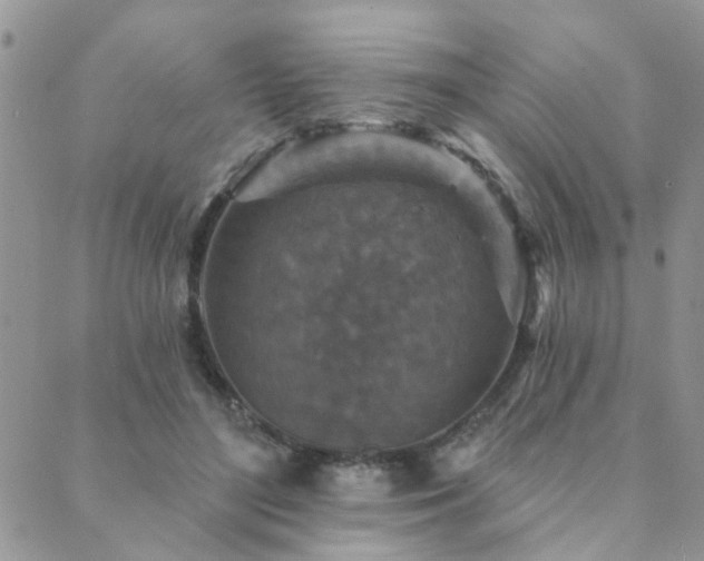 X0000089700500200706211322