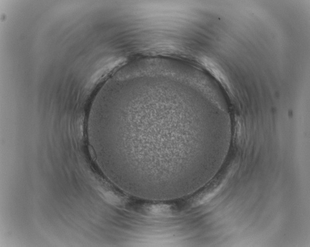 X0000089700501200706211322