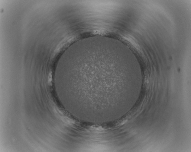 X0000089700502200706211322