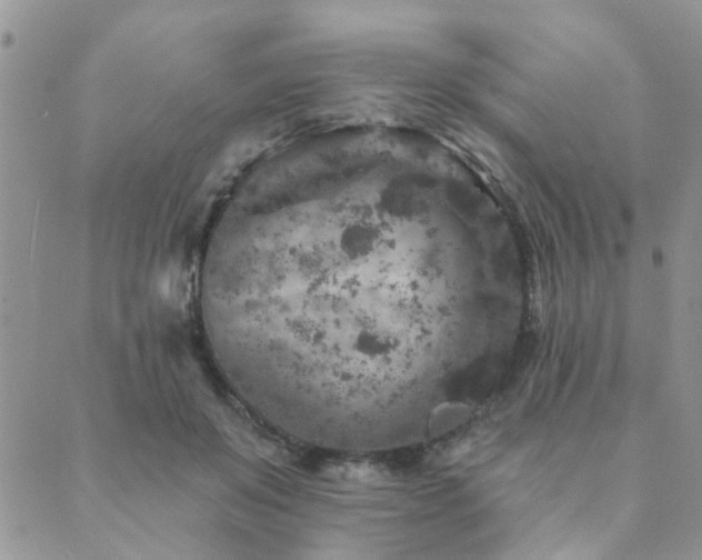 X0000089700503200706211321