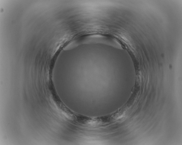 X0000089700504200706211321