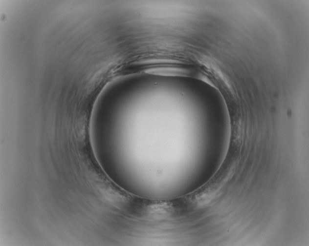 X0000089700505200706211321