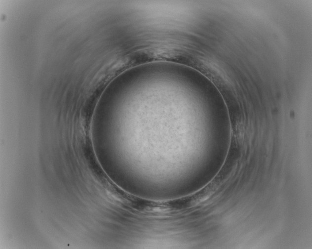 X0000089700506200706211321