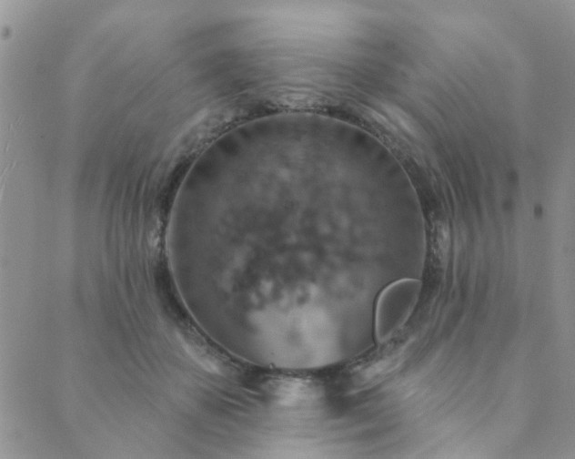 X0000089700507200706211321