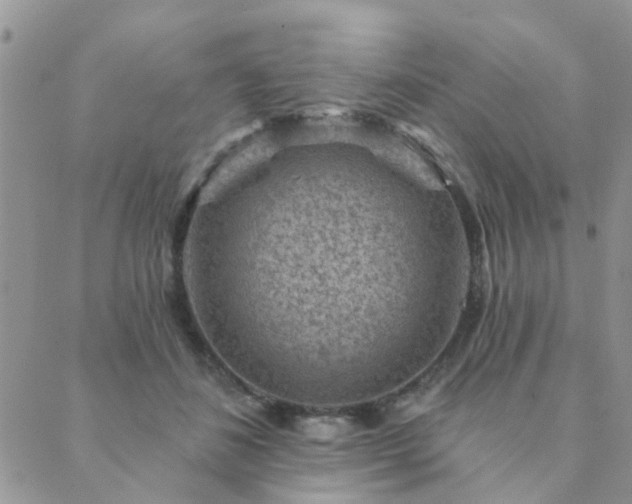 X0000089700508200706211321