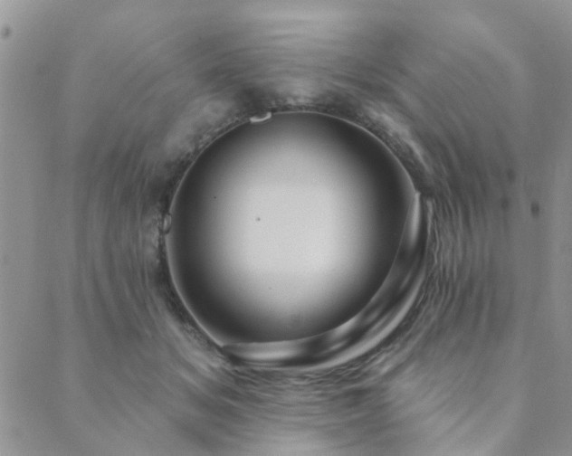 X0000089700509200706211321