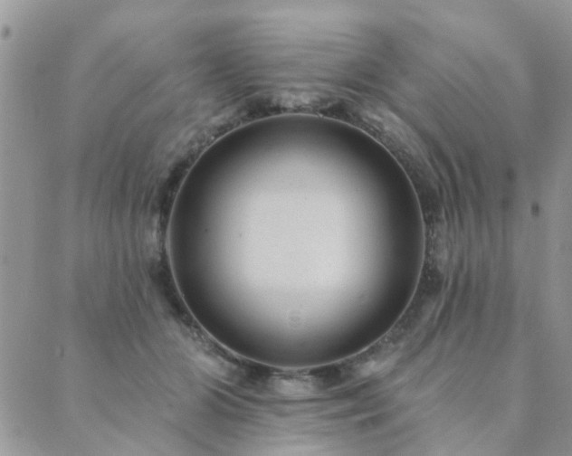 X0000089700510200706211321