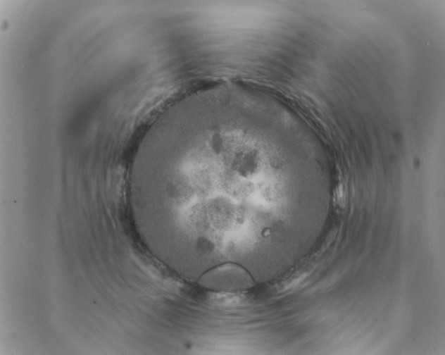 X0000089700511200706211321