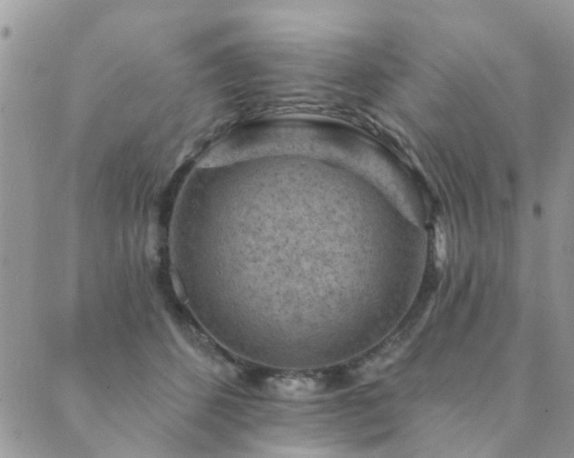 X0000089700512200706211321