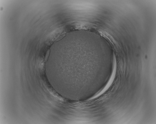 X0000089700513200706211321