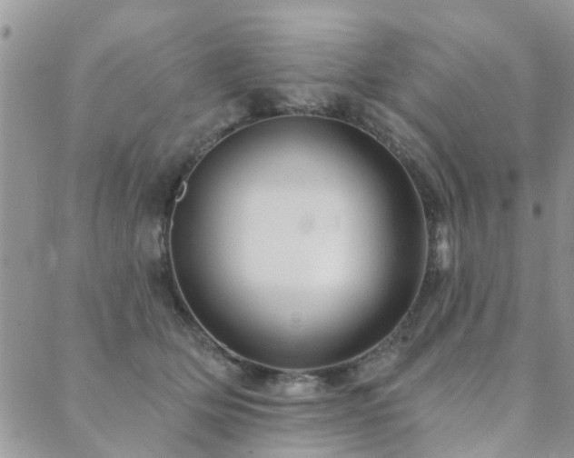 X0000089700514200706211321