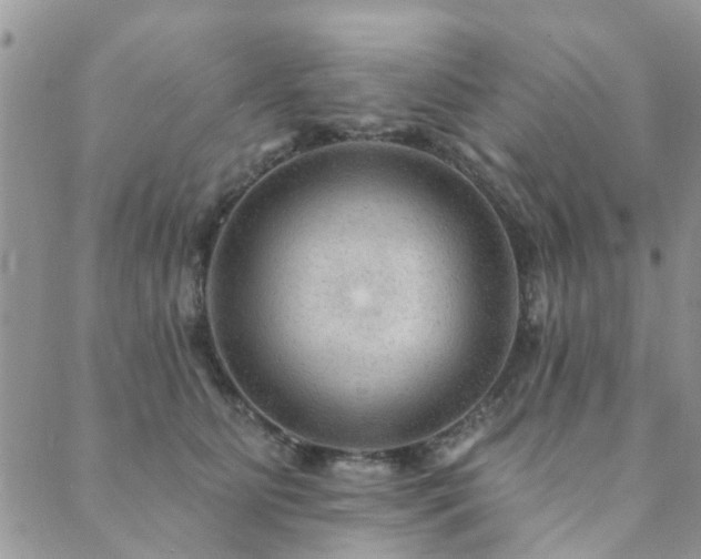 X0000089700515200706211321