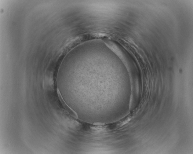 X0000089700516200706211321