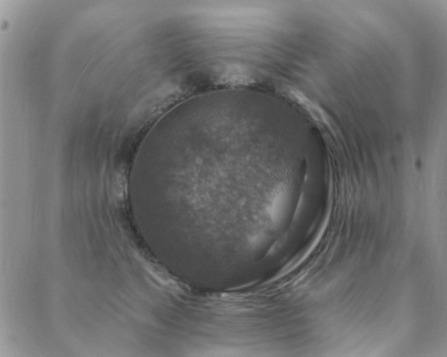 X0000089700517200706211321