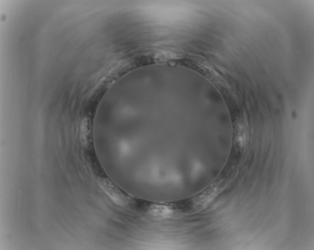 X0000089700519200706211321