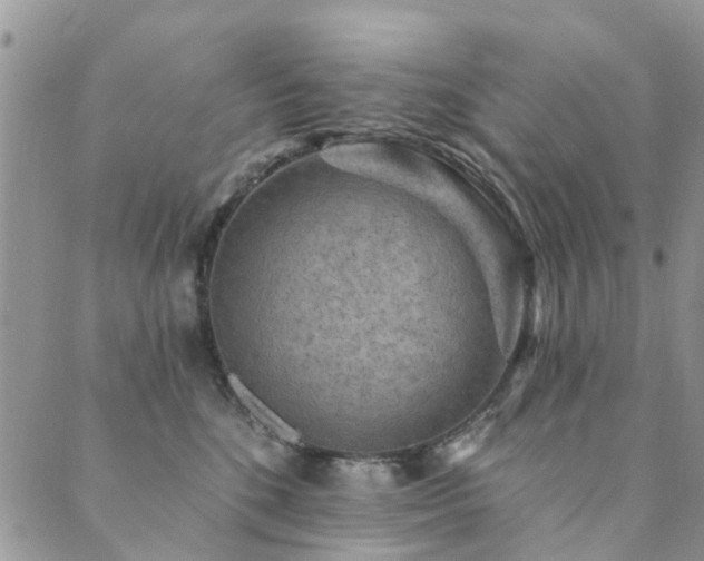 X0000089700520200706211321